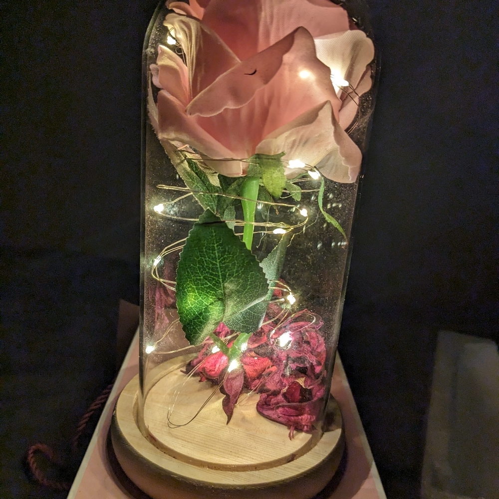 Light up pink rose in glass LED string lights batteries included